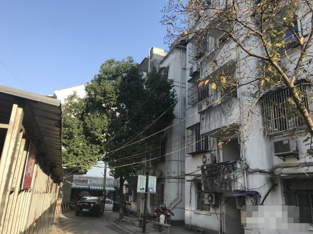 1595669647157880.jpg 15530429887370665.jpg